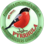 logo pyrrhula