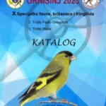 katalog ornisinj 2023m