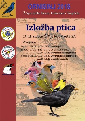 plakat ornisinj 2018
