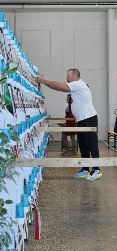 img fringillias 2025 019