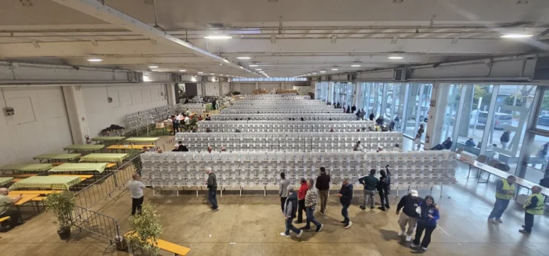 img fringillias 2025 044