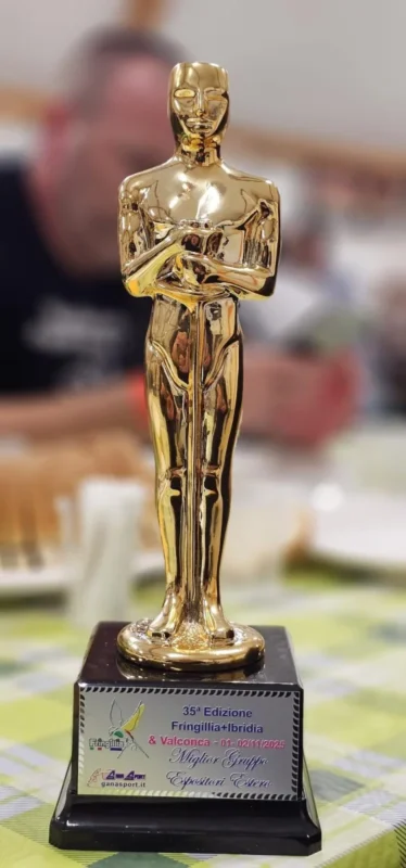 img fringillia 2025 01