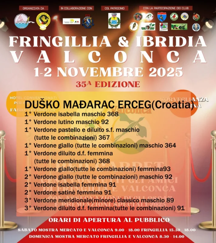 img fringillia 2025 07