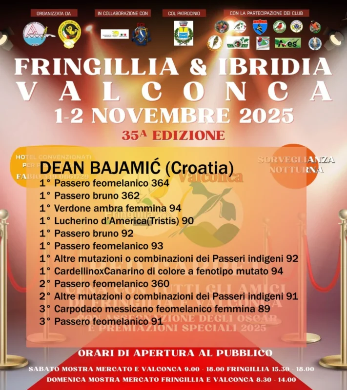 img fringillia 2025 08