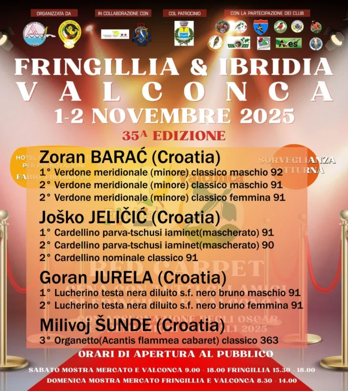 img fringillia 2025 09